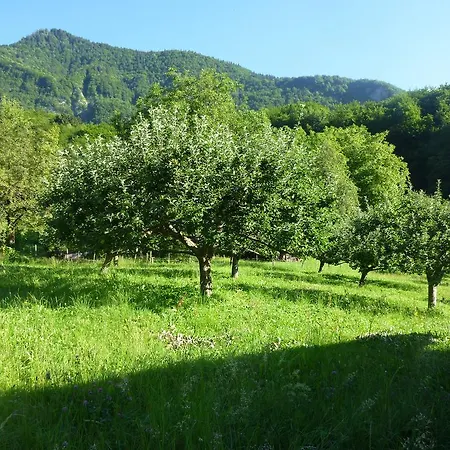 A La Belle Etoile